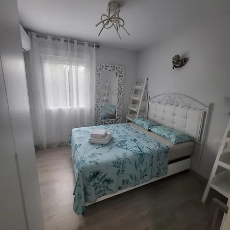 Palmeral Lara Casas Almería