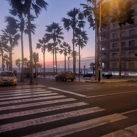 Palmeral Lara Casas *